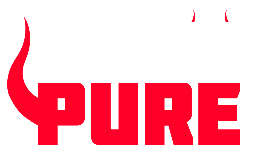 logo bdsmpure